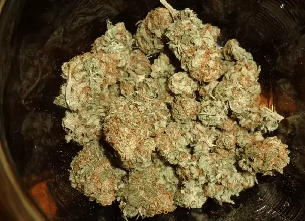 skunk colombian gold comprar