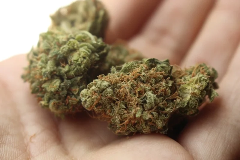 Comprar maconha