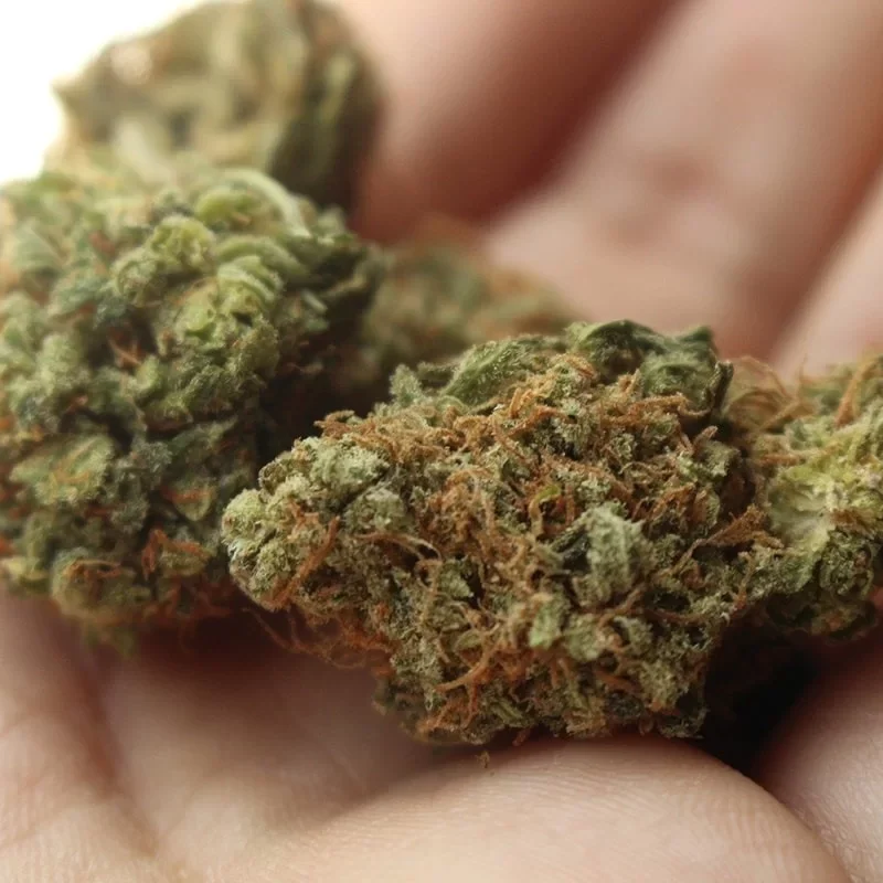 Comprar maconha