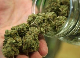 Comprar skunk pela internet