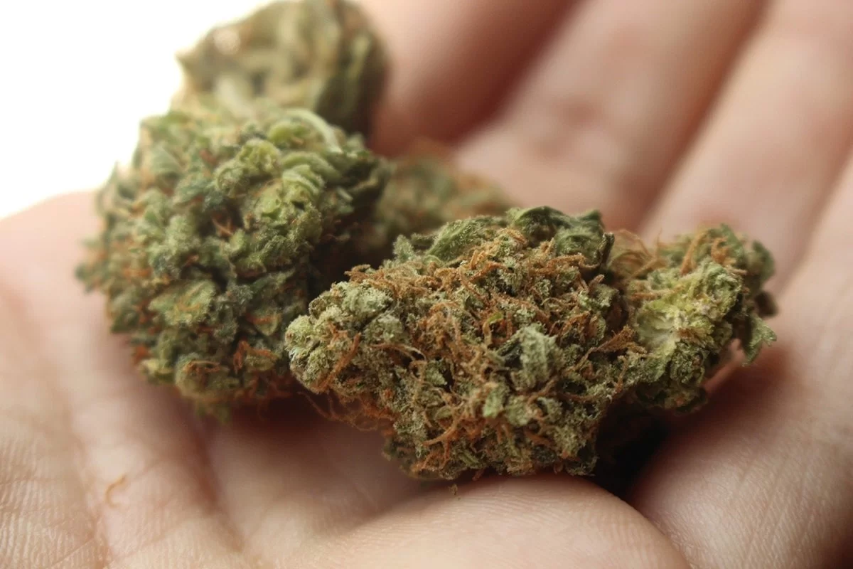 Comprar Maconha pela internet
