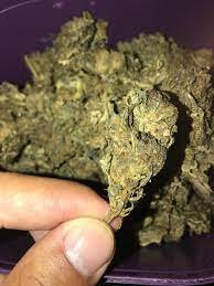 colombian gold onde comprar