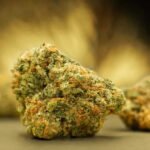 Colombian-Gold